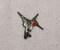 Mini Ruby Red-throated Hummingbird, Birds, Facing Right, Embroidered, Iron on Patch